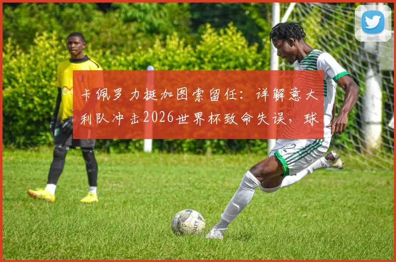 卡佩罗力挺加图索留任：详解意大利队冲击2026世界杯致命失误，球员低级错误复盘与前景分析